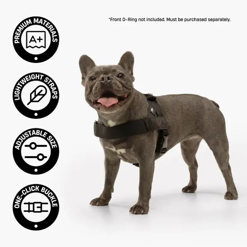 Dog Friendly Co. No-Pull Dog Walking Harness - Choke-Free Design, Padded Comfortable, 1-Click Simple Clip Buckle, Grab-Handle Ease, Chafe-Resistant Adjustable Straps, Lightweight, All-Day Wear, Secure Walks, Multi-Size XXS-XL