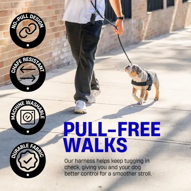Dog Friendly Co. No-Pull Dog Walking Harness - Choke-Free Design, Padded Comfortable, 1-Click Simple Clip Buckle, Grab-Handle Ease, Chafe-Resistant Adjustable Straps, Lightweight, All-Day Wear, Secure Walks, Multi-Size XXS-XL
