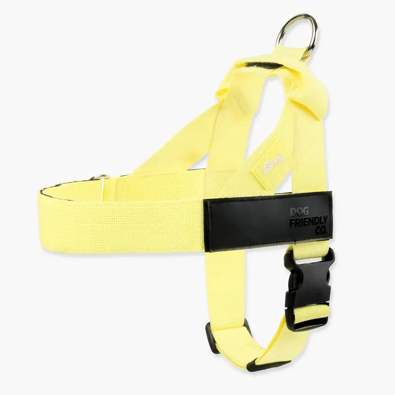 Dog Friendly Co. No-Pull Dog Walking Harness - Choke-Free Design, Padded Comfortable, 1-Click Simple Clip Buckle, Grab-Handle Ease, Chafe-Resistant Adjustable Straps, Lightweight, All-Day Wear, Secure Walks, Multi-Size XXS-XL
