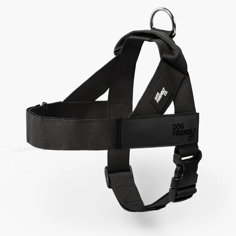 Dog Friendly Co. No-Pull Dog Walking Harness - Choke-Free Design, Padded Comfortable, 1-Click Simple Clip Buckle, Grab-Handle Ease, Chafe-Resistant Adjustable Straps, Lightweight, All-Day Wear, Secure Walks, Multi-Size XXS-XL