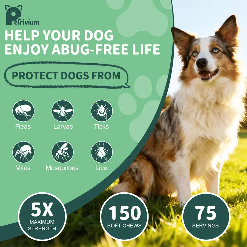 150Ct-Petrivium Dog Flea & Tick Support Soft Chews - Natural Pesticide-Free Vitamin Supplement with Rosemary Repel, Chicken Flavor, Suitable for Puppies & All Breeds/Sizes